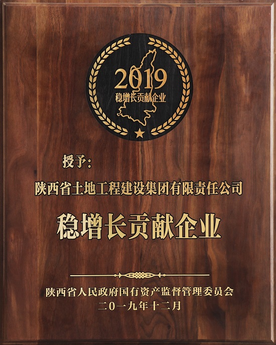 2019年穩(wěn)增長貢獻(xiàn)獎 .jpg